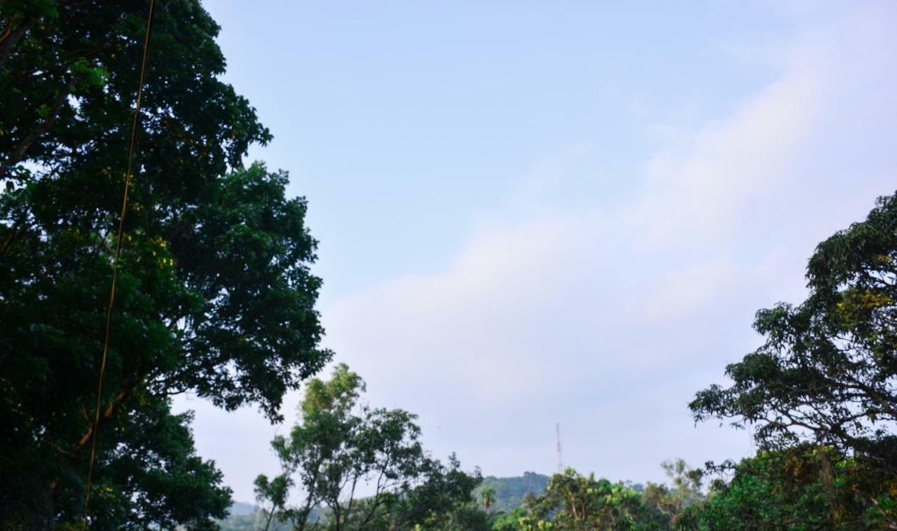 Ceylon Saradiel Home Stay Mawanella Exterior photo